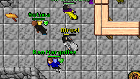 Birusi on screen