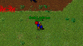 Bob Ladrao on screen