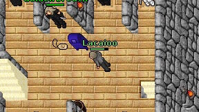 Lacaioo on screen