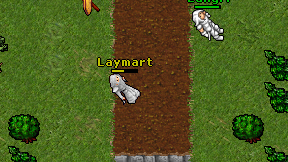 Laymart on screen