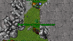 Darklord Necromancer on screen