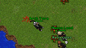 Arch Tora on screen