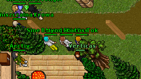 Katos Tok on screen