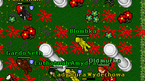 Blombka on screen