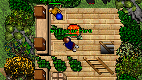 Satiacor Firo on screen
