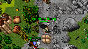 Medley Burg on screen