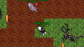 Nilcrazy on screen