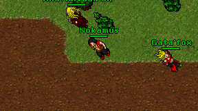 Nokamus on screen