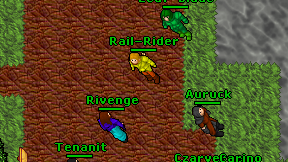 Rail-Rider on screen