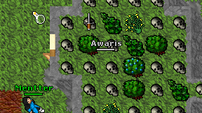 Awaris on screen