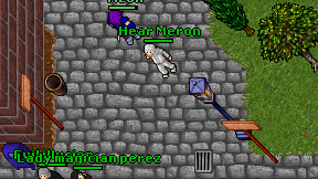 Hear Meron on screen