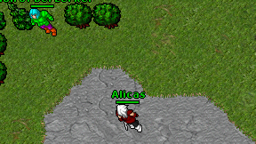 Alicas on screen