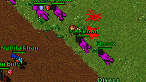 Neeknad on screen