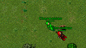 Charmanian on screen