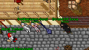 Druid Of Issa on screen