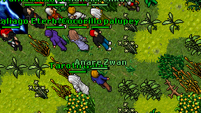 Anare Zwan on screen