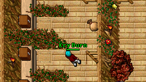 Kry Burn on screen