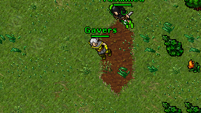 Gavers on screen