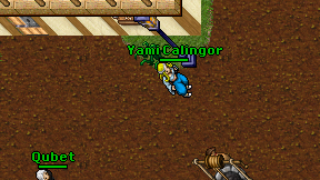Yami Calingor on screen