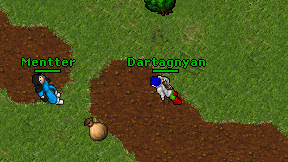 Dartagnyan on screen