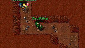 Zsoltika on screen