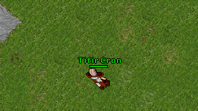 Tifir Cron on screen