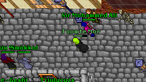 Toomte Mor on screen