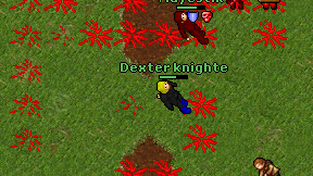 Dexter knighte on screen