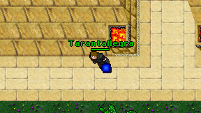 Tarantallegra on screen
