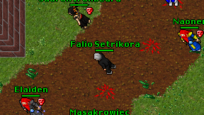 Falio Setrikora on screen