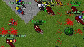 Tuchita on screen