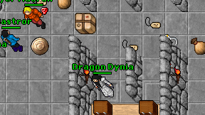Dragon Dynia on screen