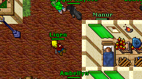 Liqen on screen