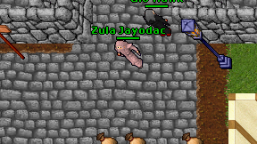 Zula Jayodac on screen