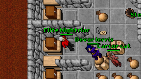 Elite Nightcior on screen