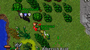 Cryptous on screen