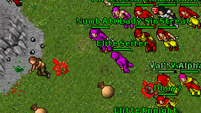 Elite Seifer on screen