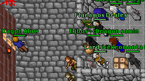 Dragon samin on screen