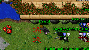 Dsoul on screen