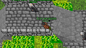 Ice peguin on screen