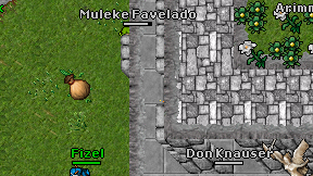 Muleke Favelado on screen
