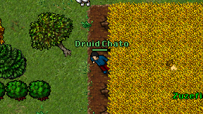 Druid Chato on screen