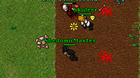 Shedown Master on screen