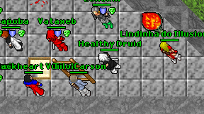 Healthy Druid on screen