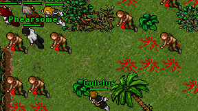 Colelus on screen
