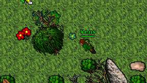 Vens on screen