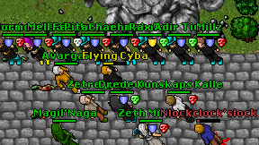 Flying Cyba on screen