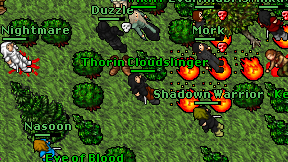 Thorin Cloudslinger on screen