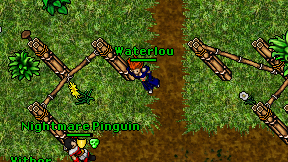 Waterlou on screen