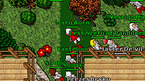 Maro Aurn on screen